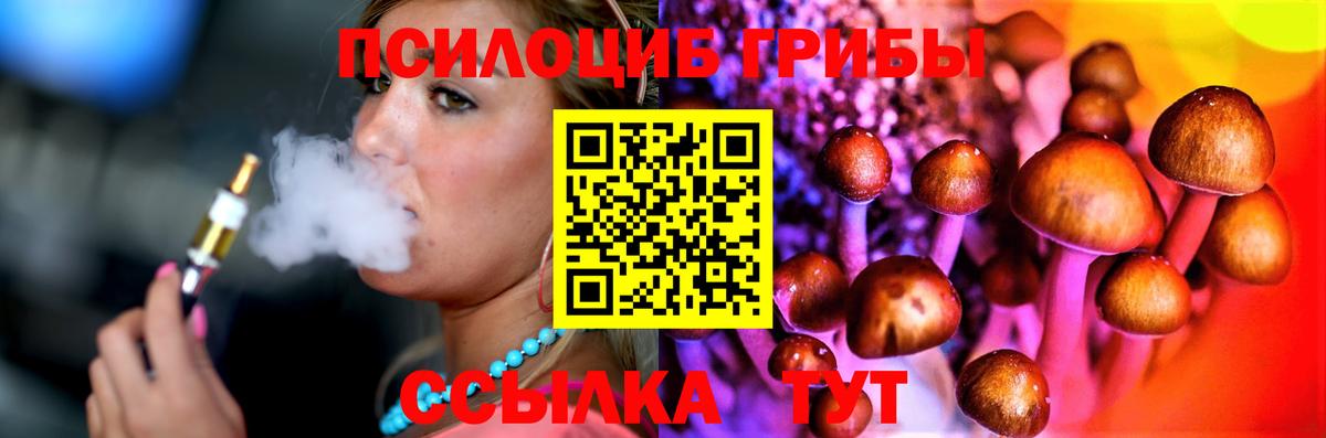 Галлюциногенные грибы Cubensis  Вход с VPN  Псилоцибиновые грибы мицелий  Сорочинск 